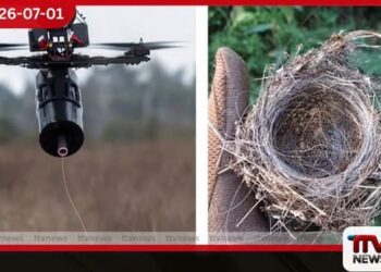 යුද බිමේ ඩ්‍රෝන කේබල්වලින් කුරුල්ලෝ කූඩු හදති