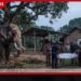 හීලෑ අලියෙකු පහරදීමෙන් 61 හැවිරිදි පුද්ගලයෙකු ජීවිතක්ෂයට
