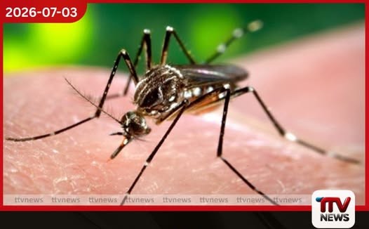 පැය 24 තුළ ඩෙංගු රෝගීන් 1,025ක්