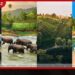 පාස්කු ප්රහාරයේ වින්දිතයන්ට යුක්තිය ඉල්ලන කාදිනල් හිමිගේ ධුර කාලය දීර්ඝ වෙයි!