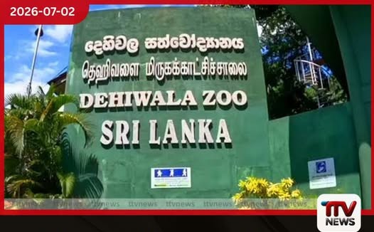 දෙහිවල ජාතික සත්වෝද්යානයට වසර 90ක් සපිරේ