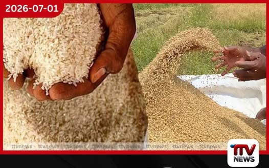 සහල්වලින් වෙනත් නිෂ්පාදන රැසක් බිහිකිරීමට අවධානය