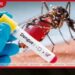ලංකාවට ඩෙංගු අධි වසංගත තත්ත්වයක්
