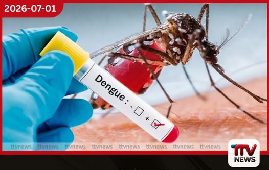 ලංකාවට ඩෙංගු අධි වසංගත තත්ත්වයක්