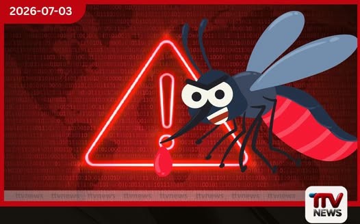 ඩෙංගු රෝග ව්යාප්තිය ඉහළ යයි