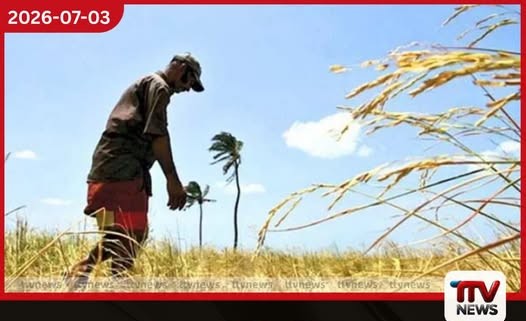 යල කන්නයේ වී මිලදී ගැනීමට මෝල් හිමියන්ට සහ සමුපකාරවලට 8%ක සහන ණය යෝජනා ක්රමයක්