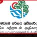 පොලිතීන් භාවිතය අවම කර පරිසරය සුරැකීමට එක්වන්න