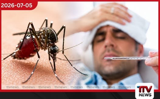 මෙරට සෞඛ්ය පද්ධතියට දැඩි පීඩනයක් වසරේ ගතවූ කාලය තුළ ඩෙංගු රෝගීන් සංඛ්යාව 59,000 සීමාව පසුකරයි