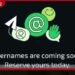 WhatsApp  පරිශීලක නාම නිසා  රහස්‍යතාවට තර්ජනයක් වේද?