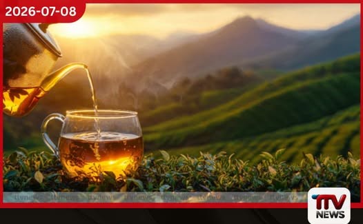 ශ්රී ලංකා තේ ජාත්යන්තරයට රැගෙන යෑමට ඊජිප්තුවේදී විශේෂ ප්රවර්ධන වැඩසටහනක්