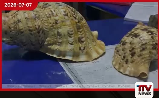 ගෙදර සඟවාගෙන තිබුණු කෝටි ගණනක වාලම්පුරි දෙක පොලිසියට හසුවෙයි…