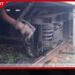 කොටුවේ හදිසි තත්ත්වයක්…