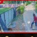 අමානුෂික ලෙස සුනඛයෙකු ඝාතනය කිරීම අක්මීමන පොලිසියේ විමර්ශනවල ඇති අඩුපාඩු ගැන චෝදනා