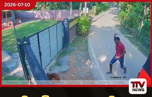 අමානුෂික ලෙස සුනඛයෙකු ඝාතනය කිරීම අක්මීමන පොලිසියේ විමර්ශනවල ඇති අඩුපාඩු ගැන චෝදනා