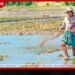 දිට්වායෙන් හානි වූ ගොවීන් දෙලක්ෂයකට වැඩි පිරිසකට වන්දි ගෙවා අවසන්!