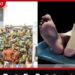 මීගමුවේ ඛේදවාචකයේ තවත් සංවේදී කතාවක්…
