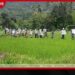 ආණ්ඩුවේ වී මිල අසාධාරණයි…