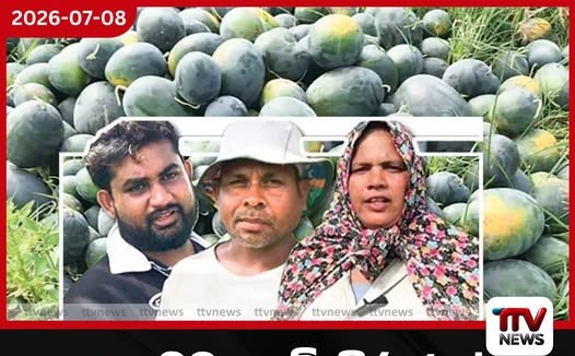 කොමඩු ගෙඩි පිරුණත් ගොවියාගේ අත හිස් වෙයි…