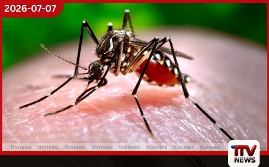 රුසියාවේ බැලස්ටික් මිසයිල ප්රහාරවලින් කියෙව් නුවර මහල් නිවාස රැසක් මුළුමනින්ම විනාශ වෙයි