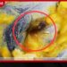තෝසේ ව්යාංජනයේ කැරපොත්තෙක්…