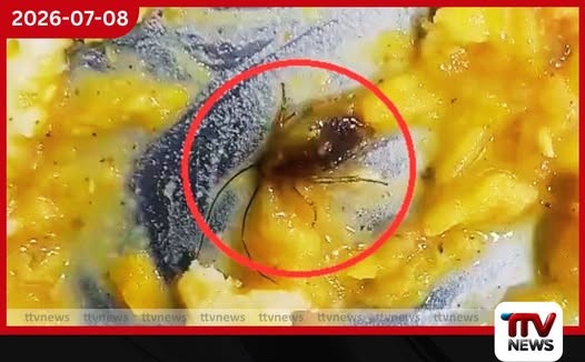 තෝසේ ව්යාංජනයේ කැරපොත්තෙක්…