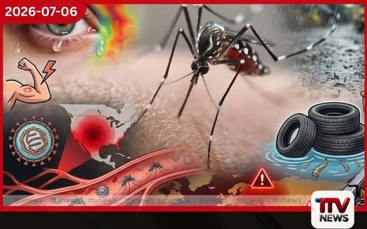 මහනුවර ඩෙංගු අධි අවදානමක