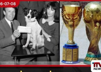 ලෝක පාපන්දු කුසලානය ලන්ඩනයේ පඳුරක් යට සඟවයි