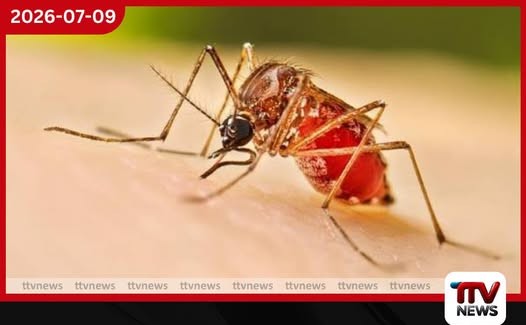 කාබන් ඩයොක්සයිඩ් පිට කිරීම වැඩි නම් මදුරුවන් විදීමත් වැඩියි