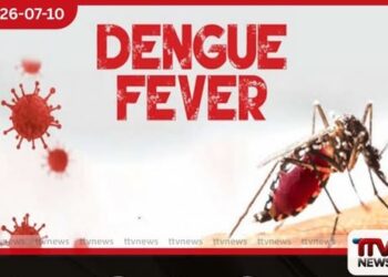 ඩෙංගු අධි අවදානම් කලාපවල පාසල් සහ සරසවි සති දෙකකට වසා දමන්නැයි වෛද්‍ය සංගමයකින් ඉල්ලීමක්