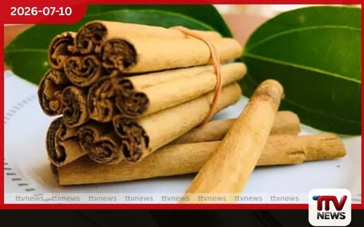 කුරුඳු අපනයන ආදායම ඉහළට
