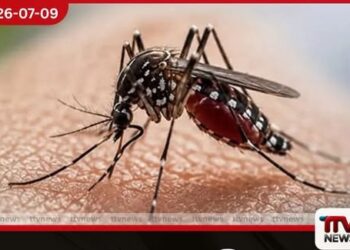 ශ්රී ලංකාවේ ඩෙංගු මරණ සංඛ්යාව 45 දක්වා ඉහළට