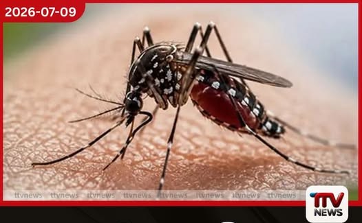ශ්රී ලංකාවේ ඩෙංගු මරණ සංඛ්යාව 45 දක්වා ඉහළට