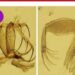 ශ්රී ලංකාවෙන් නව වැලි මැසි විශේෂයක් සහ නව ගණයක් සොයාගැනේ