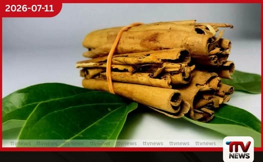 ලංකාවේ කුරුඳු ඉතිහාසයේ ඉහළම මිල වාර්තා වෙයි