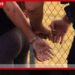 සංවිධානාත්මක අපරාධවලට ආධාර කළාද?