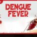 ඩෙංගු ව්යාප්තිය දරුණු අතට ඉදිරි දෙසතිය අතිශය අවදානම් බවට විශේෂඥ වෛද්යවරුන්ගෙන් අනතුරු ඇඟවීම්