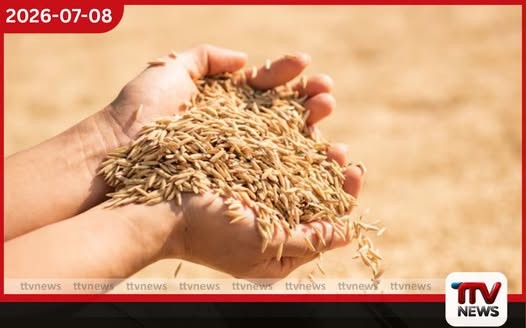 යල කන්නයේ වී මිලදී ගැනීම් ලබන 15 වැනිදා සිට ඇරඹේ