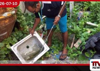 ඩෙංගු මදුරුවන් බෝ කළාද?