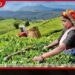 තම න්යෂ්ටික බලකාය ප්රමාණාත්මකව සහ ගුණාත්මකව පුළුල් කිරීමට උතුරු කොරියාව තීරණය කරයි