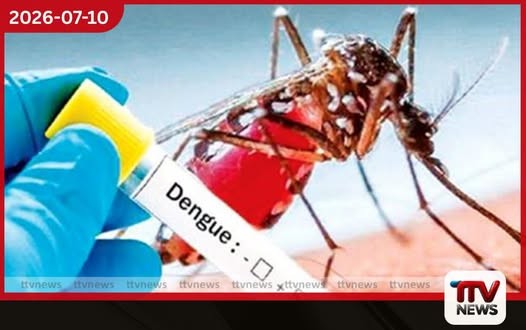 ඩෙංගු මර්දන කටයුතුවල නිරත මහජන සෞඛ්ය පරීක්ෂකවරුන් 8 දෙනෙකුටත් ඩෙංගු වැළඳේ