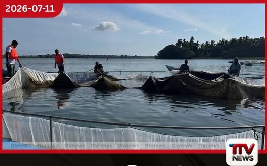 ජලාශ 25ක ක්රියාත්මක කළ නියමු ව්යාපෘතියෙන් මිරිදිය ධීවර ආර්ථිකය ශක්තිමත් වෙයි