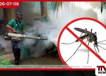 ඩෙංගු මරණ 42ක් දක්වා ඉහළට රෝගීන් සංඛ්යාව 64,000කට ආසන්න වෙයි…
