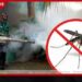ඩෙංගු මරණ 42ක් දක්වා ඉහළට රෝගීන් සංඛ්යාව 64,000කට ආසන්න වෙයි…
