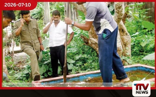 බස්නාහිර පළාතේ ඩෙංගු රෝගීන් 35,000ට ආසන්න වෙයි