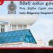ළමා රෝහලක් ඇතුළේ ඩෙංගු අවදානමක්!