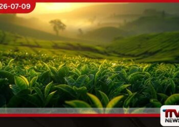 කුඩා තේ වතු හිමියන් ශක්තිමත් කිරීමේ ලංකා තේ ගම්මාන 500 ජාතික වැඩසටහන ජූලි 15 වනදා ඇරඹේ.