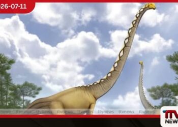 තායිලන්තයෙන් හමුවූ ලොව මෙතෙක් නොදුටු අමුතුම අස්ථි ව්යුහයක් සහිත නව ඩයිනෝසෝර විශේෂය