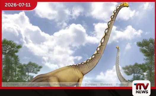 තායිලන්තයෙන් හමුවූ ලොව මෙතෙක් නොදුටු අමුතුම අස්ථි ව්යුහයක් සහිත නව ඩයිනෝසෝර විශේෂය