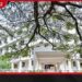 මැදපෙරදිග කලාපයේ අමෙරිකානු සහ ඉරාන හමුදා අතර දැඩි යුදමය නොසන්සුන්තාවක්