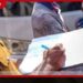 බස් රියදුරන් ඉලක්ක කරමින් රට පුරා ක්ෂණික මත්ද්රව්ය පරීක්ෂණ ඇරඹේ